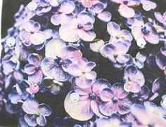 Creamie t-shirt cloud photoprint